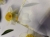 IMG_1194.jpeg