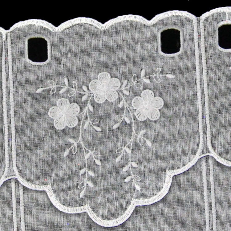 xl_19022.jpg