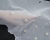 xl_23687.jpg