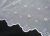 xl_23689.jpg