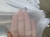 2306.jpg