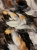 IMG_4078.jpeg